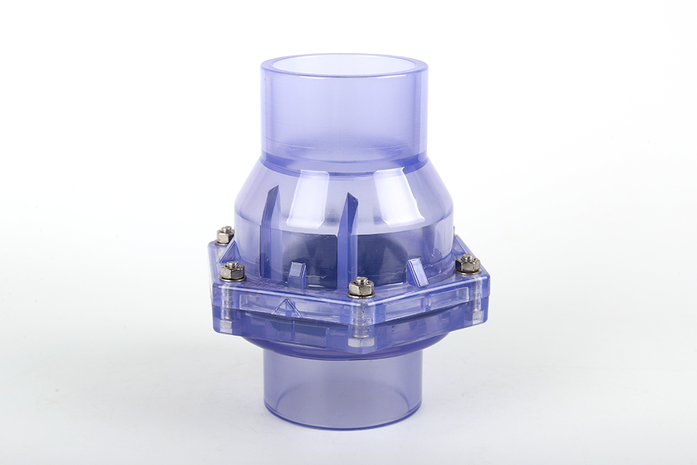 南和透明翻板式止回阀